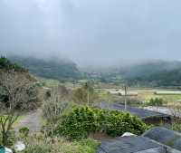 台北陽明山國家公園｜自然野趣與地質奇觀之旅