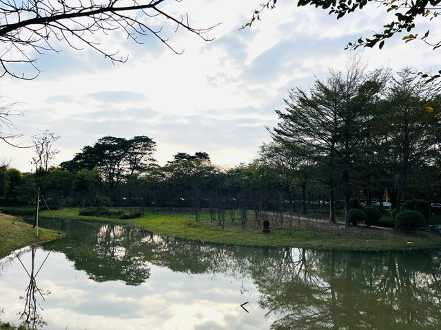 東莞華陽湖