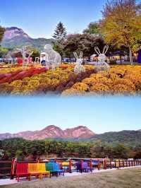 韓國抱川市山井湖水，秋季浪漫打卡地！