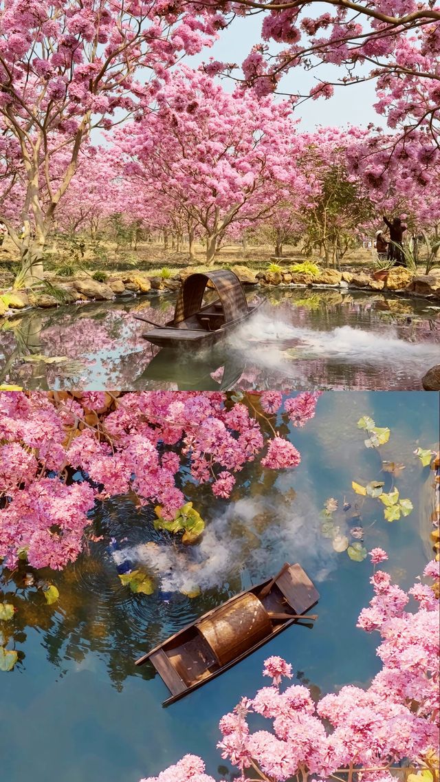 賞花聖地