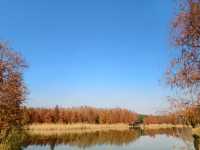 青西郊野公園絕對是任何季節都值得去的地方！