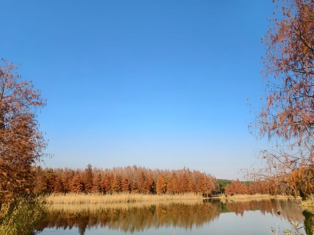 青西郊野公園絕對是任何季節都值得去的地方！