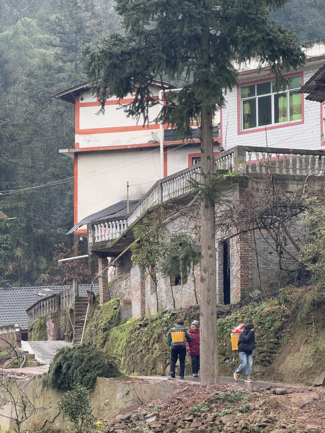 在貴州大山裏徒步 身臨其境的愜意