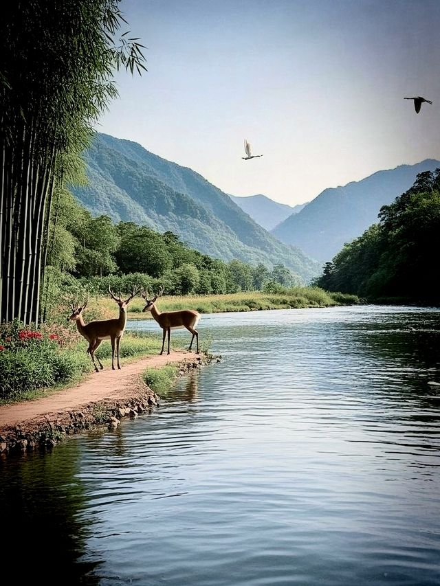 速戳！探索大關縣旅遊寶藏地