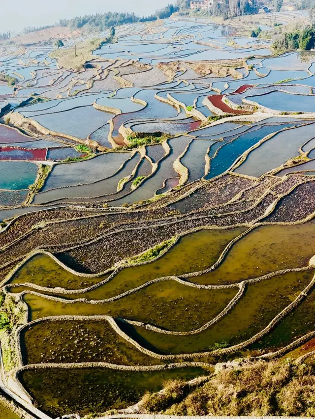 A 3-Day Trip to Yuanyang: Your Go-To Guide