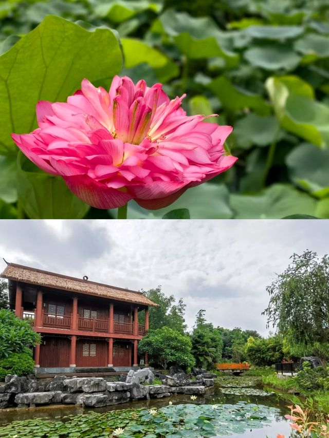 探索廣西貴港園博園，感受園林之美