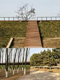 鍾意西安每個有陽光嘅日子