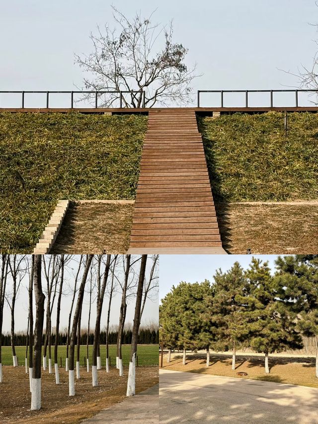 鍾意西安每個有陽光嘅日子 鍾意西安每個有陽光嘅日子