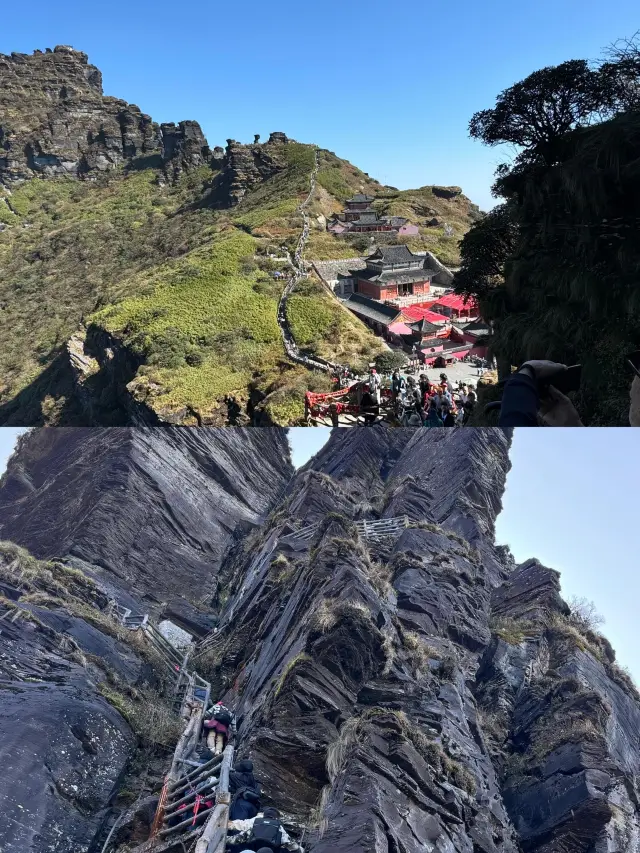 판징산 완벽 정복 가이드!