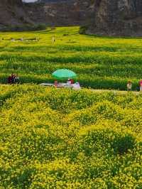 巴南春日限定｜解鎖礦坑秘境裡的金色花海攻略