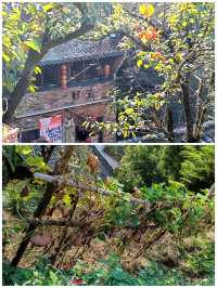 贛東北探秋丨婺源篁嶺景區b