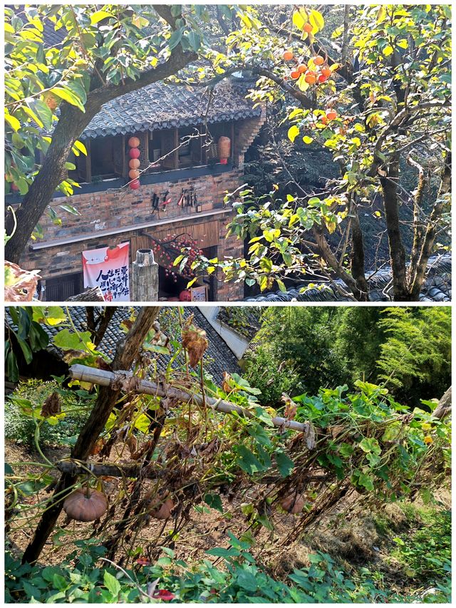 贛東北探秋丨婺源篁嶺景區b