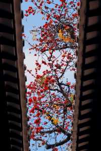 3.11實拍國畫裡的春色滿園關不住