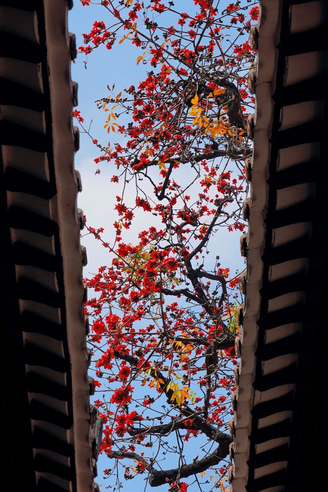 3.11實拍國畫裡的春色滿園關不住