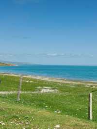 青海西寧-青海湖7日遊|超詳細攻略 讓你玩轉大美青海