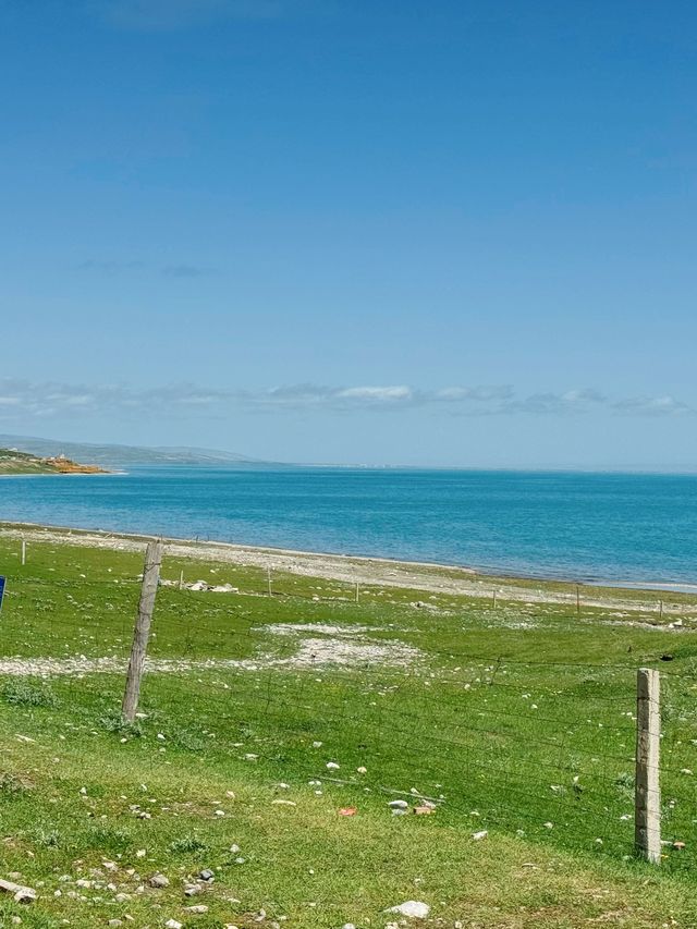 青海西寧-青海湖7日遊|超詳細攻略 讓你玩轉大美青海 青海西寧-青海湖7日遊|超詳細攻略 讓你玩轉大美青海