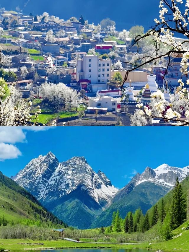 3月的金川，真的是人間理想。