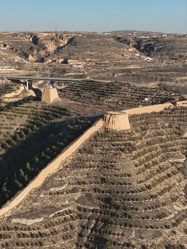 春日偏關，魅力無限之旅