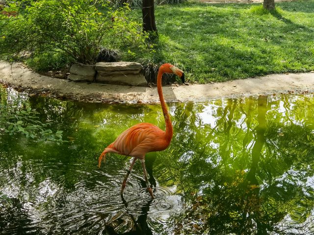 上海動物園，春遊好去處