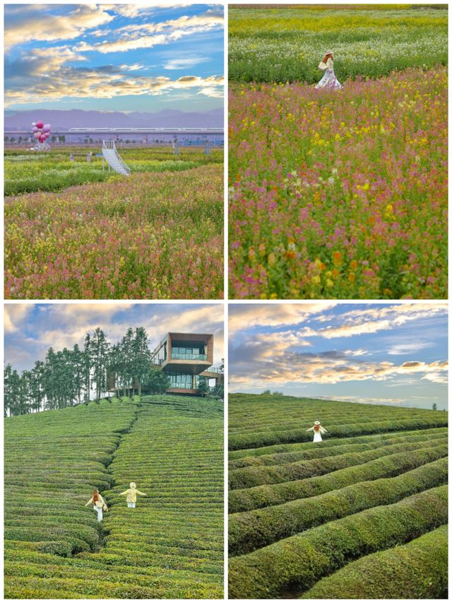 泰華寺·千島湖·田園古村探秘