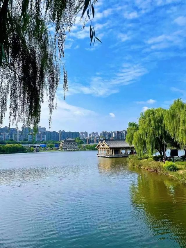 陝西西安•曲江遺址公園•春意盎然的曲江
