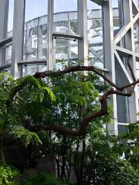 上海溫室花園遊玩攻略，都市中的綠野仙蹤