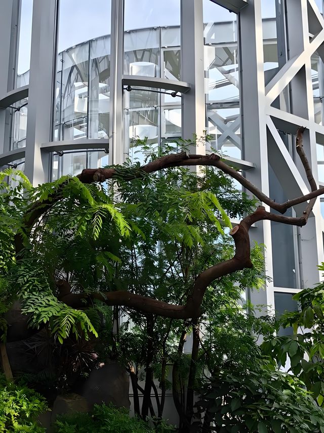 上海溫室花園遊玩攻略，都市中的綠野仙蹤
