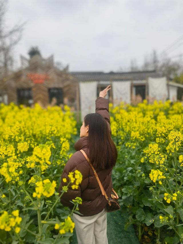 寶子們誰懂啊居然發現一個週末好去處