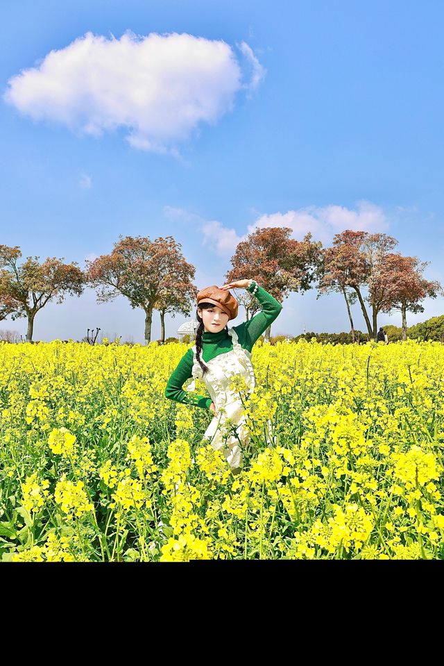 以為去了大理，沒想到被南京的春天美到窒息！