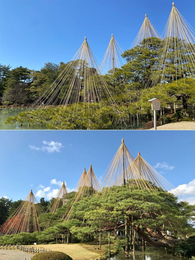 日本4日深度遊🔥朋友圈攻略大揭秘