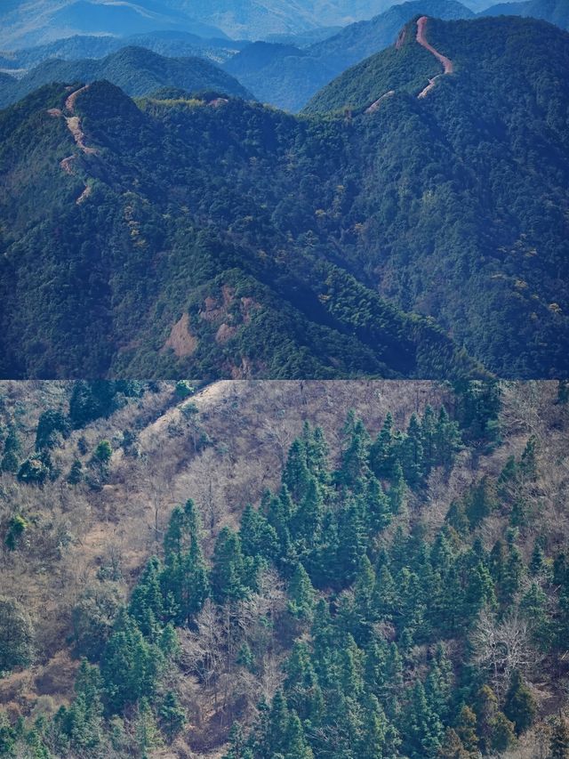 大家都以為我在北京遠足，這是隱於寧波的長城呀