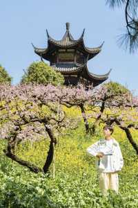 冇去婺源人逼人，湖州都可以上春山