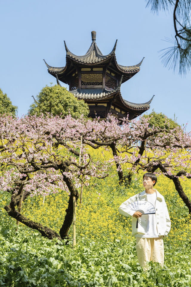 冇去婺源人逼人，湖州都可以上春山