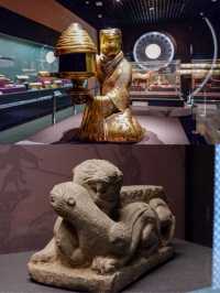必看天津博物館這波展覽太哇塞了