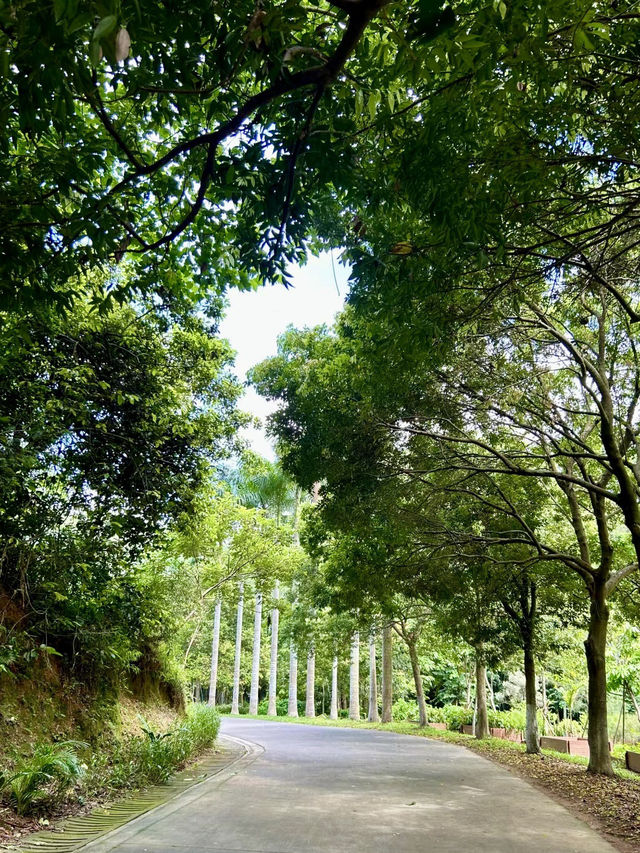 綠意盎然的心靈樂土