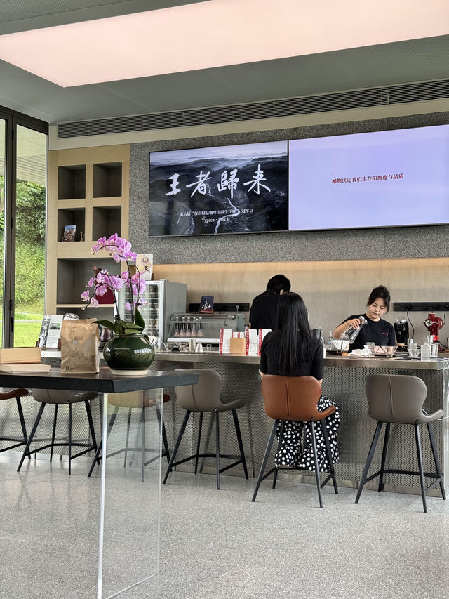 不在濟州島!在深圳光明☕ 不在濟州島!在深圳光明☕