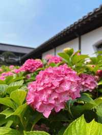 探秘廣州文博新地：文化館