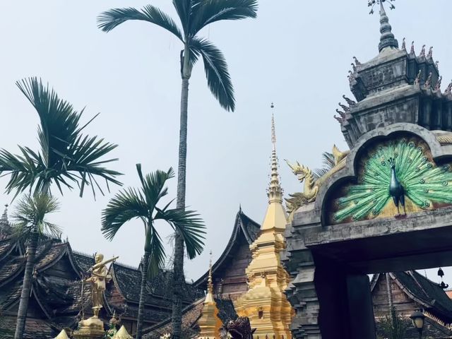 雲南西雙版納旅遊行程