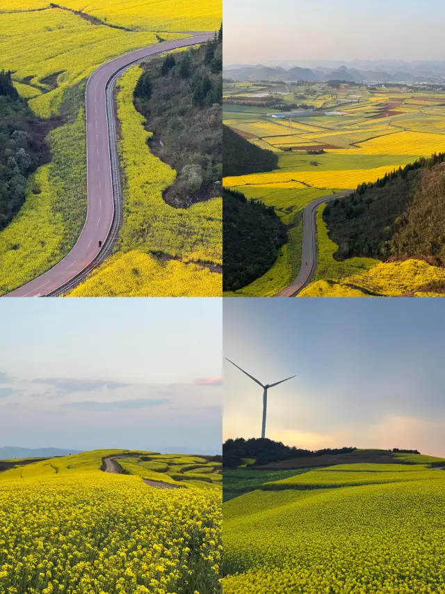 รสที่ค้างอยู่ในคอของ Qu Jing หลังจากเห็นดอกเรพซีดนั้นช่างยอดเยี่ยมเกินไป! - อื่นๆ ไม่เข้ากับลุคแล้ว