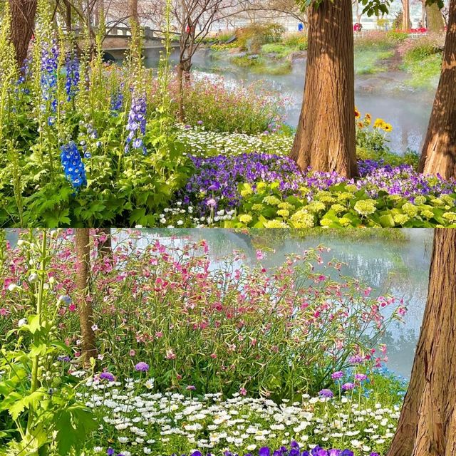 誤入莫奈花園！南京五一最佳旅行地