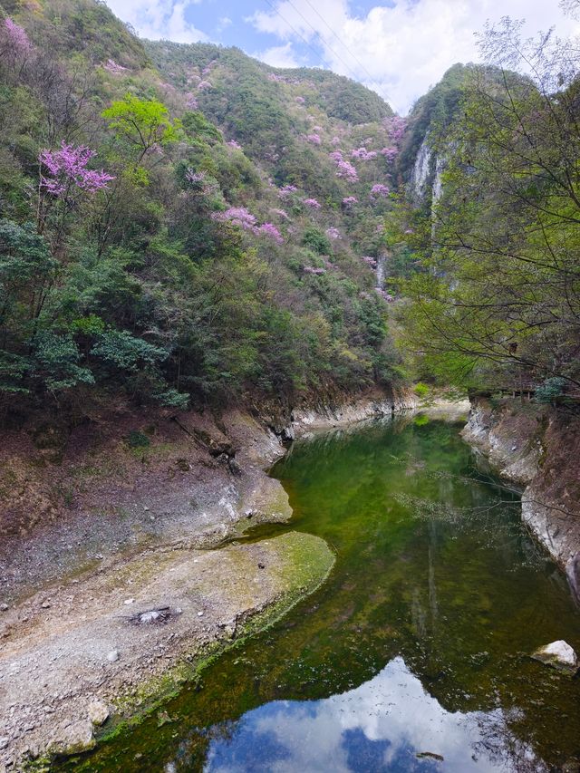 遊客很少山花爛漫的小眾景點