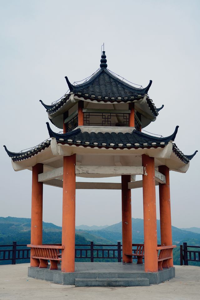 探秘黔南春色，邂逅貴定雲霧貢茶