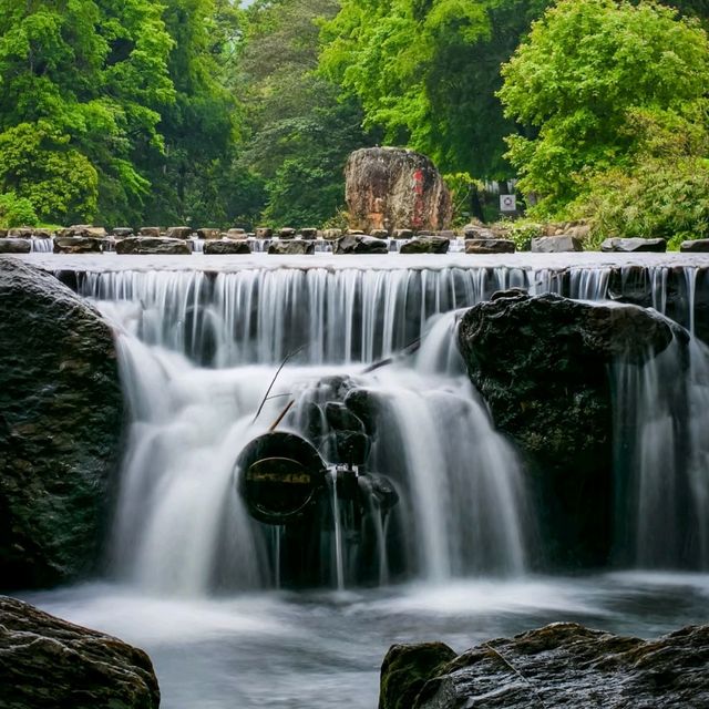 廣州週邊｜闖入綠野仙蹤！石門森林國家公園🌿