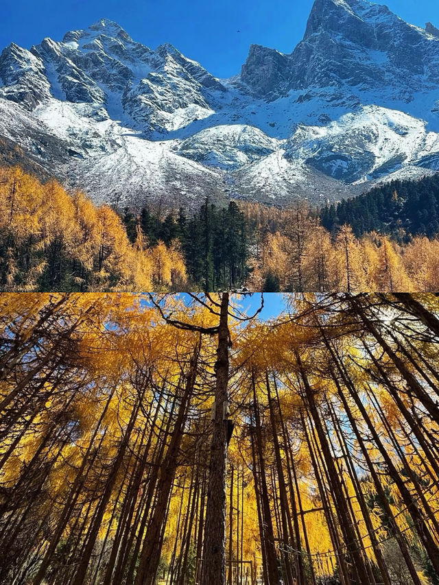做了一個關於川西的夢