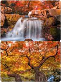 杭州小眾去處，秋景打卡地大揭秘