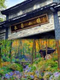 永泉小鎮旅遊攻略：江南秘境裏的時光慢旅行