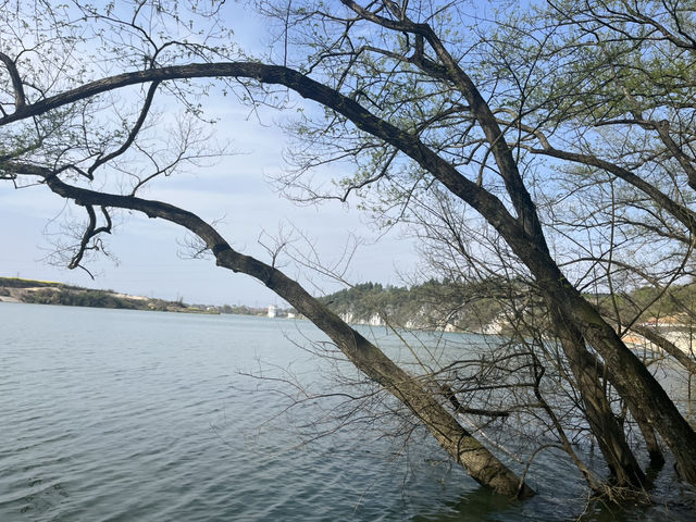 🌳邵陽吸氧寶地！寶慶森林公園