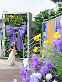 5.1喺昆明一定要影嘅藍花楹
