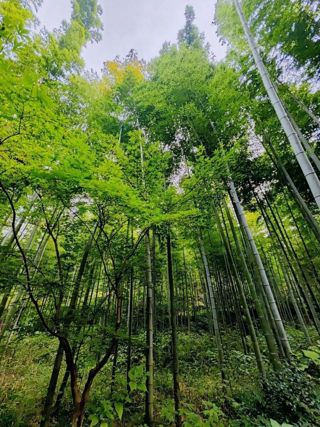 天目湖旅遊攻略