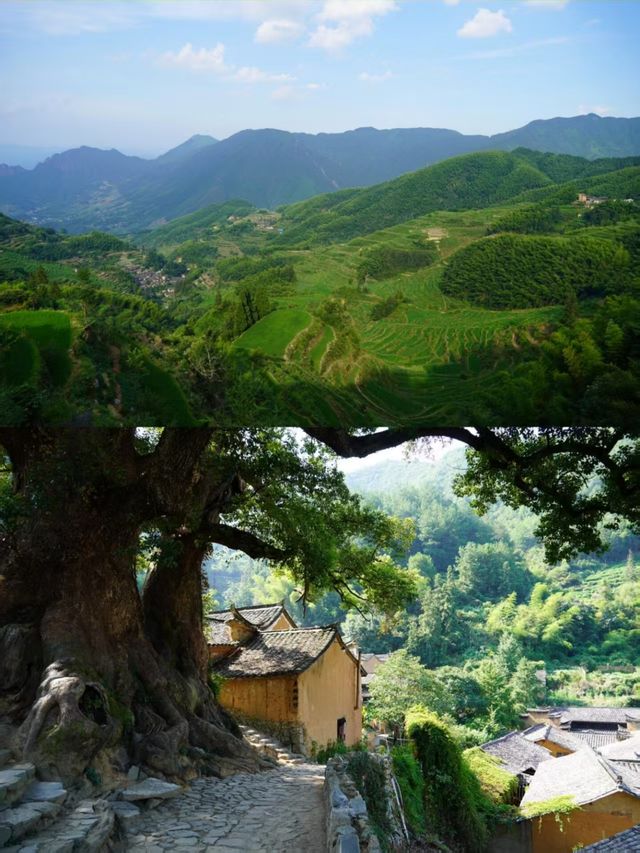 我最愛的旅遊地出現了！真人間秘境